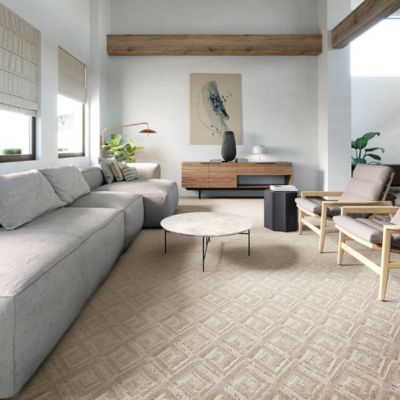 patterned beige living room carpets in Virginia